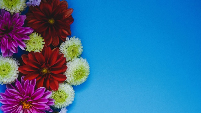 非单纯技术 非单纯技术