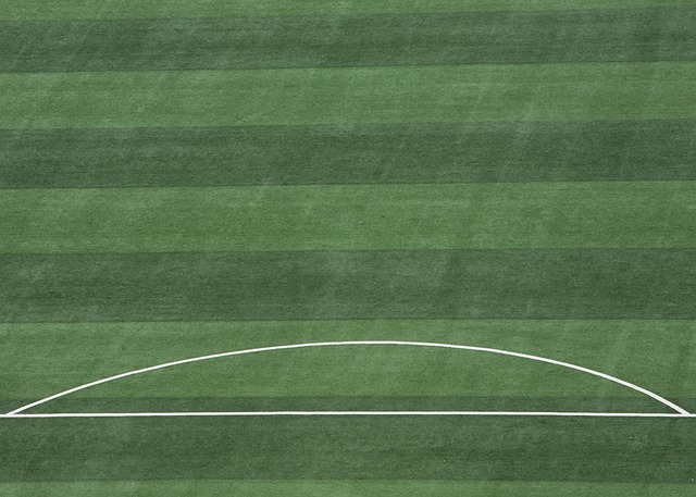 虛擬內容服 虛擬內容服