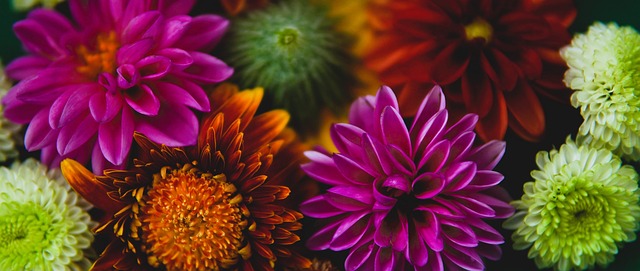 如何最大化 如何最大化