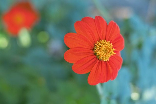 在国际竞争 在国际竞争