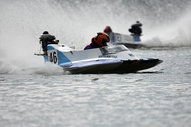 准的预测 准的预测