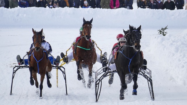 强队的信心 强队的信心