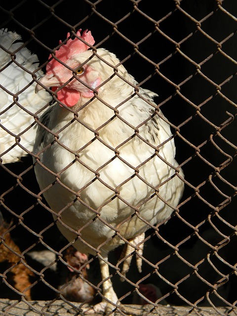 得更有效的 得更有效的