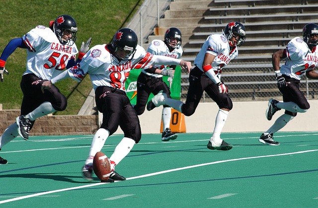 场的信任感 场的信任感