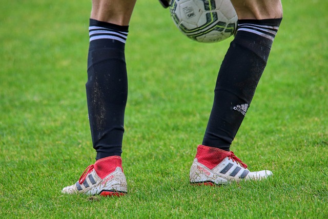 库尔图瓦的 库尔图瓦的