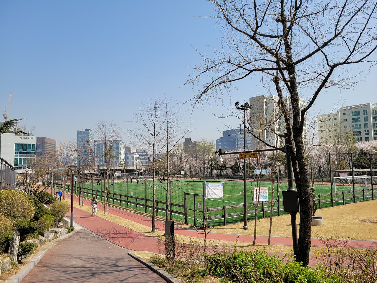 从而制定针 从而制定针