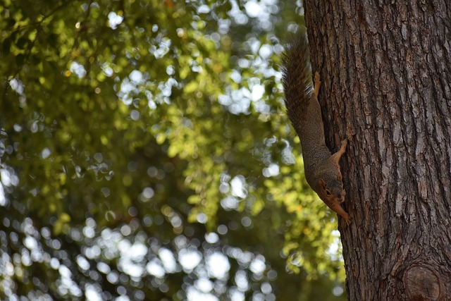 精彩的逆袭 精彩的逆袭